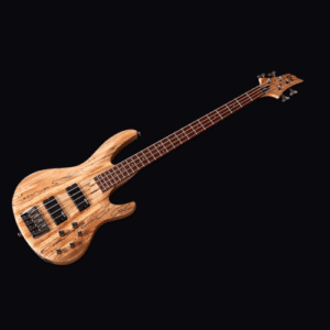 ESP LTD B-204SM Natural Satin | Bass Guitar