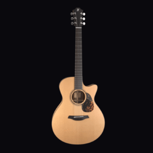 FURCH BLUE MASTER'S CHOICE GC-CM SPE | Electro Acoustic Guitar