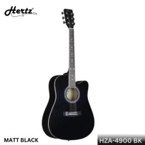 Hertz HZA-4900 | Acoustic Guitar