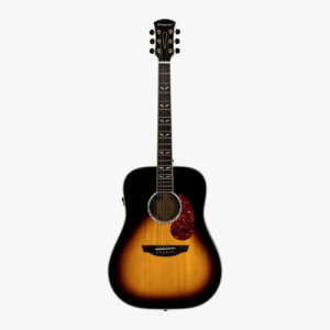 Orangewood ECHO LIVE | Electro Acoustic Guitar