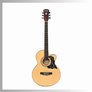 Techno TM-239C | Semi Acoustic Guitar