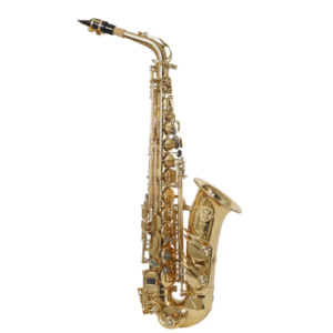 Techno TMS660 Gold Alto Saxophone Double Rib