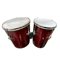 Bongo Standard