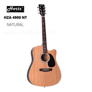 Hertz HZA 4900 NT Acoustic Guitar with foam Padded Bag, strap, 3 picks and String Pack