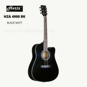 Hertz HZA 4900 BK (BLACK) | Acoustic Guitar with foam Padded Bag, strap, 3 picks and String Pack