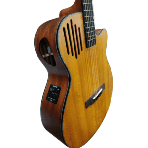 Techno TM-440CYEF | Semi Acoustic Guitar