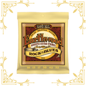 Ernie Ball 2008 Earthworm Rock and Blues | Acoustic Guitar String Set