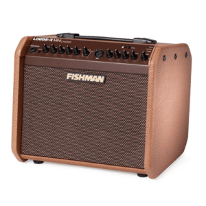 Fishman Loudbox Mini Charge | Acoustic Guitar Amplifier