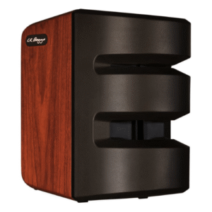 LR Baggs Synapse Personal PA System
