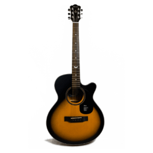 Mantic MG-1CSB | Acoustic Guitar