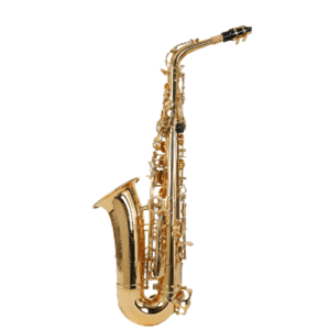 Techno Gold Alto Saxophone TMS-660