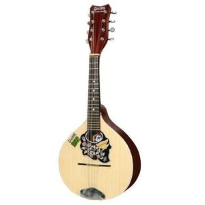 Givson Mandolin Rosewood